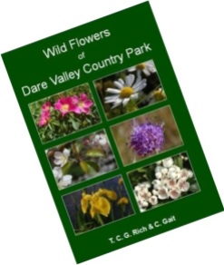 Tim CG Rich and Ceri Gait - Wild Flowers of Dare Valley Country Park